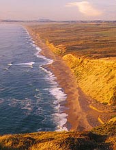 Image - Point Reyes Beach