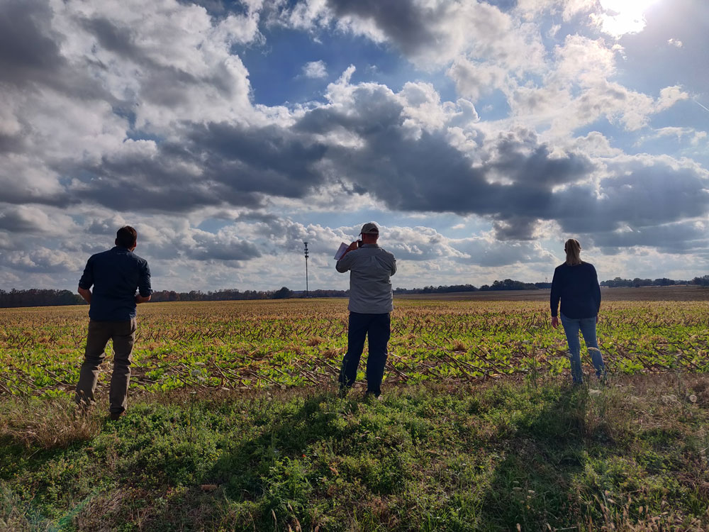 With their backs to the camera, Shawn Serbin, Scott Giangrande, and Nicki Hickmon look out over a landscape near the Bankhead National Forest.