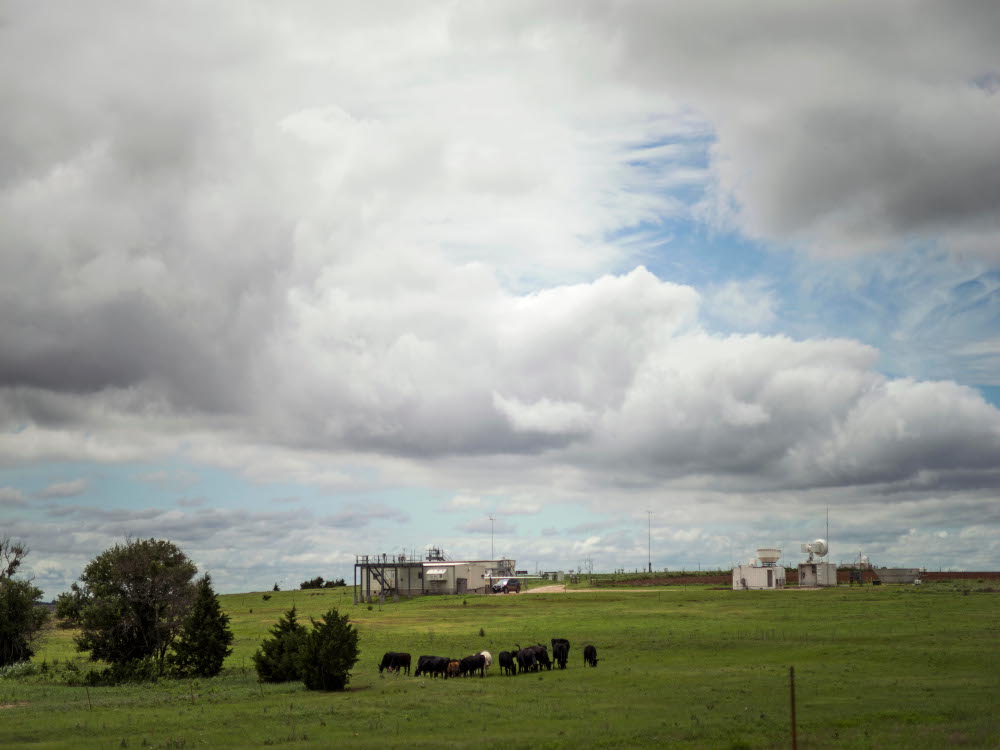 Cows graze near ARM buildings and instruments on a cloudy day.